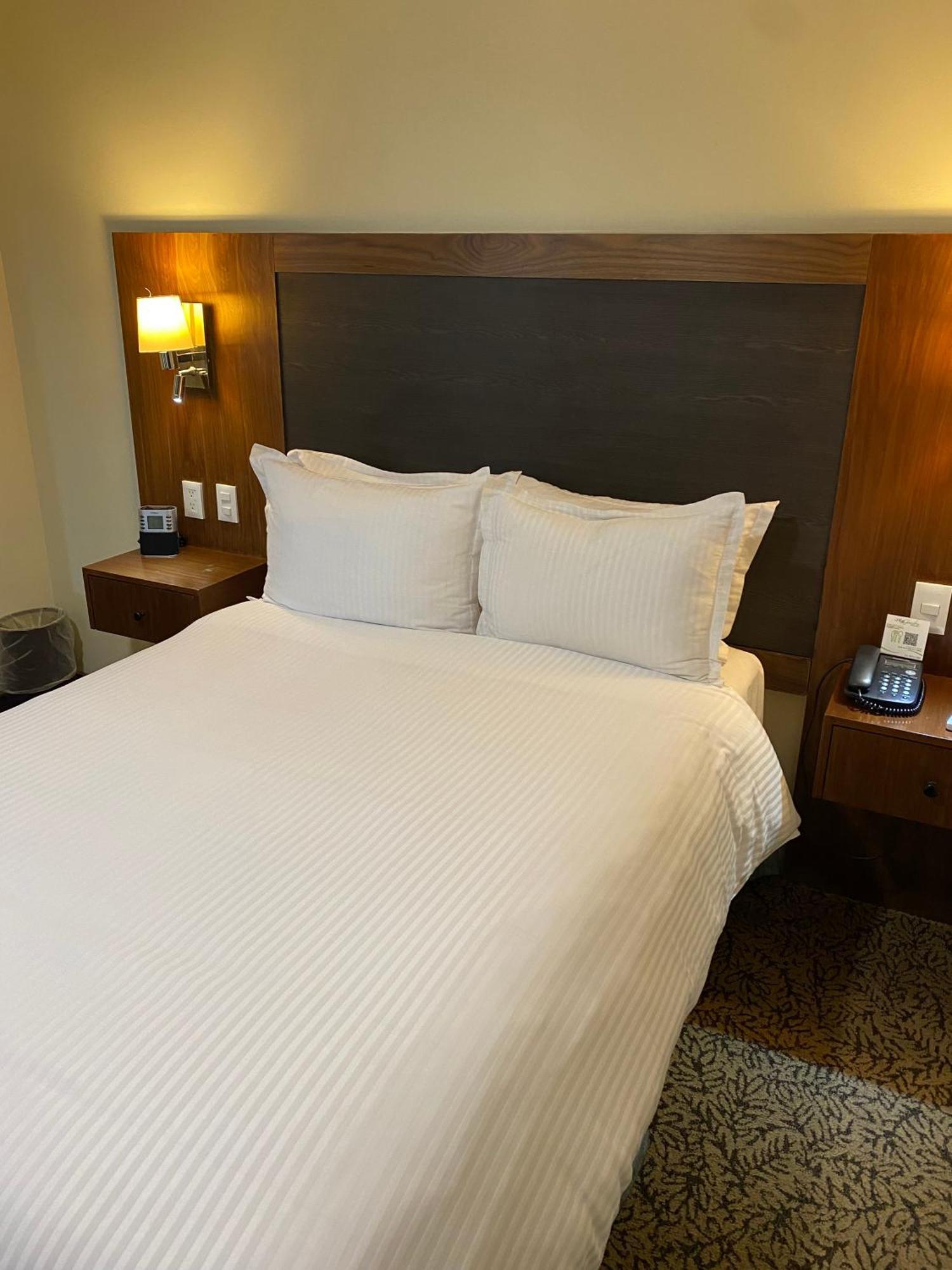 Wyndham Garden Mexico Reforma Hotel Екстериор снимка